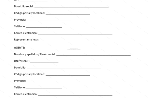 Captura de la página web de una agencia comercial, con encabezado y servicios mostrados.