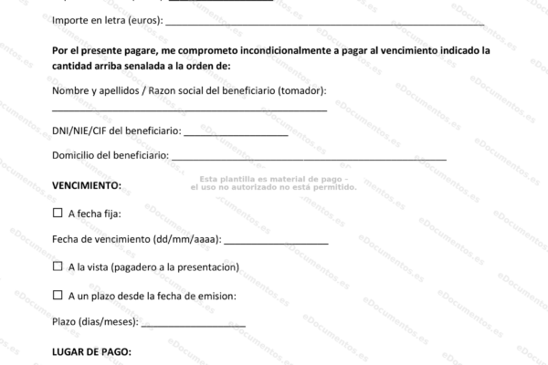 Página 1 de un pagaré, documento financiero a escala.
