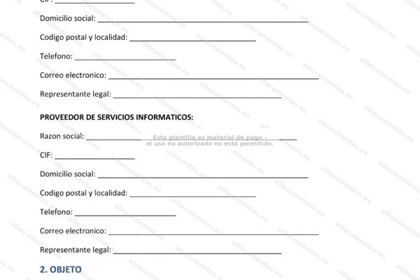 Ilustración de servicios informáticos para empresas: soporte técnico y soluciones en la nube (página 1)