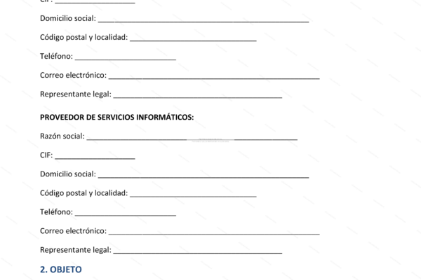 Ilustración de servicios informáticos para empresas: soporte técnico y soluciones en la nube (página 1)